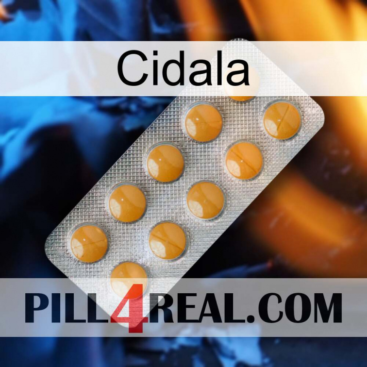 Cidala levitra1